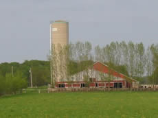 beef barn